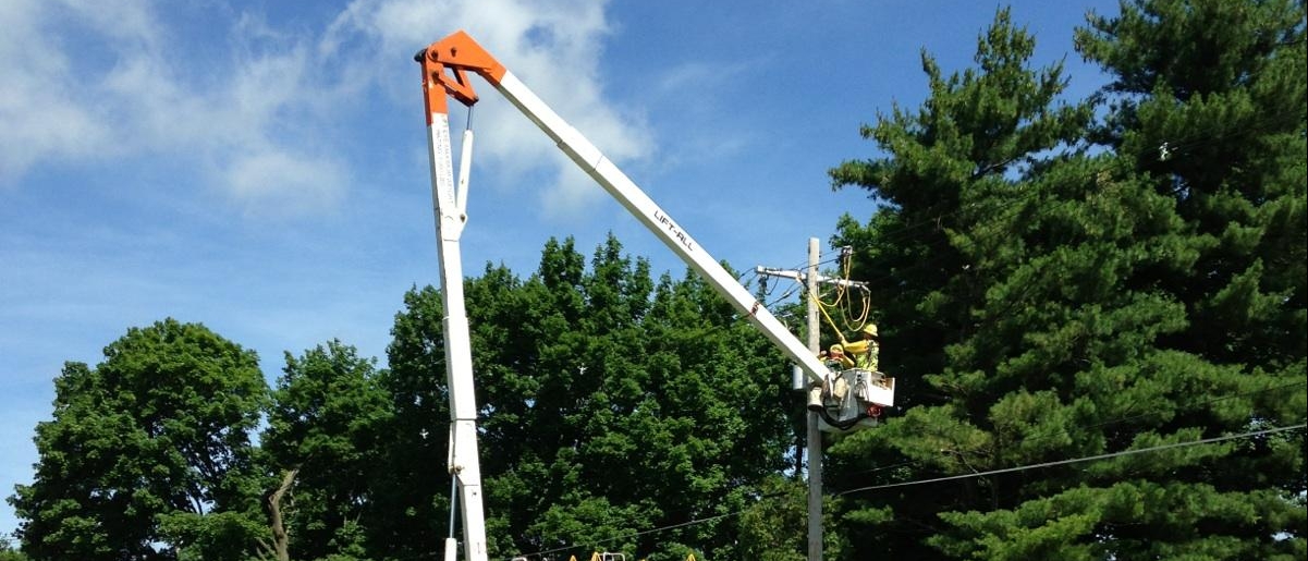 Tree Trimming